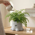 Nubla Ghost Planter macetero fantasma decorativo para interior